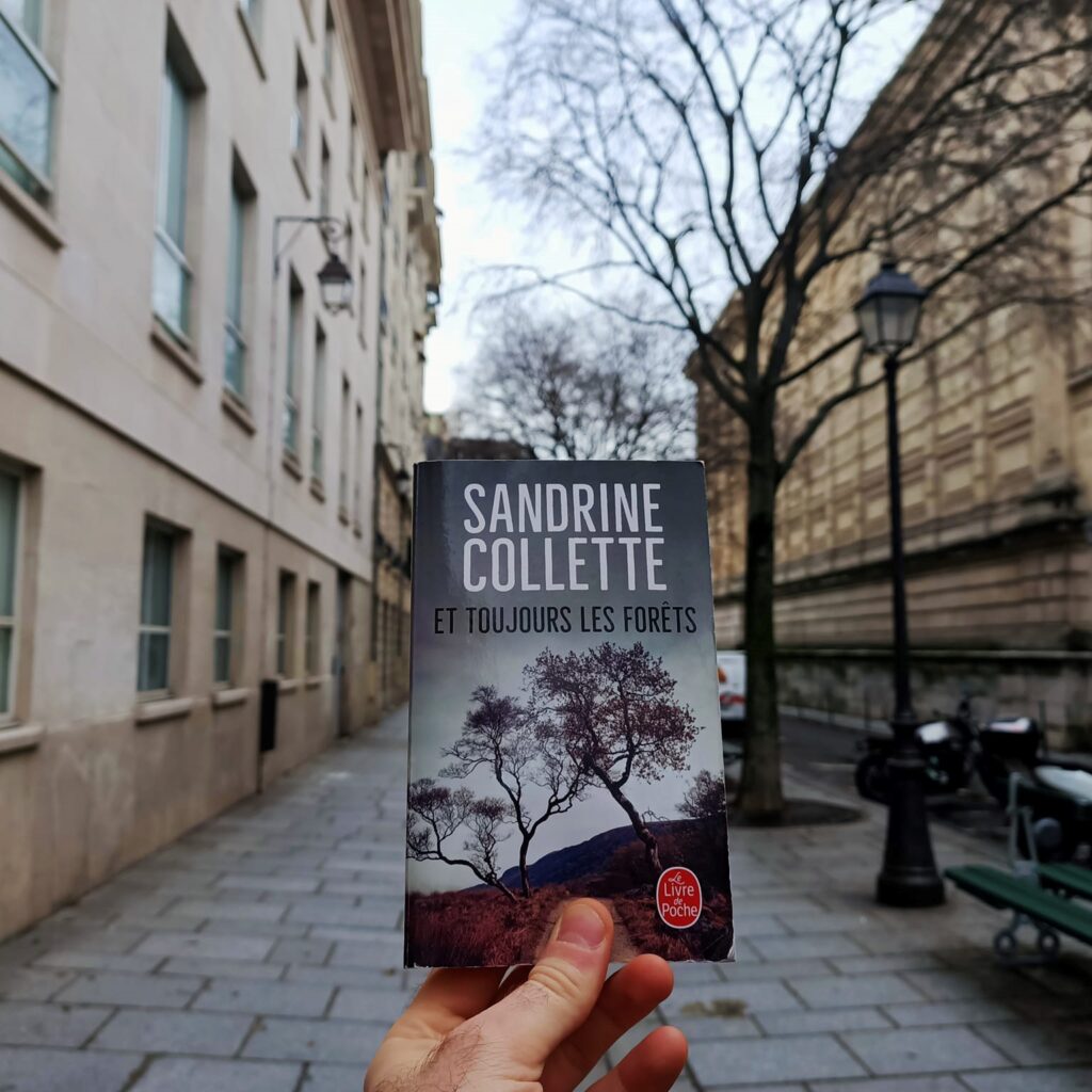 Et toujours les forêts - Sandrine Colette - à lire