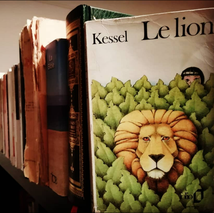Joseph Kessel, Le lion, à lire absolument.